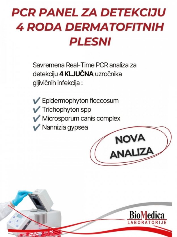 PCR dermatofiti 4 roda dermatofita