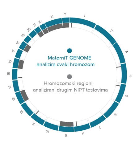 Maternit GENOME analizira svaki hromozom
